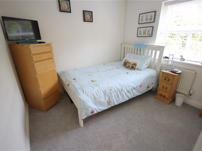 Picture 14
